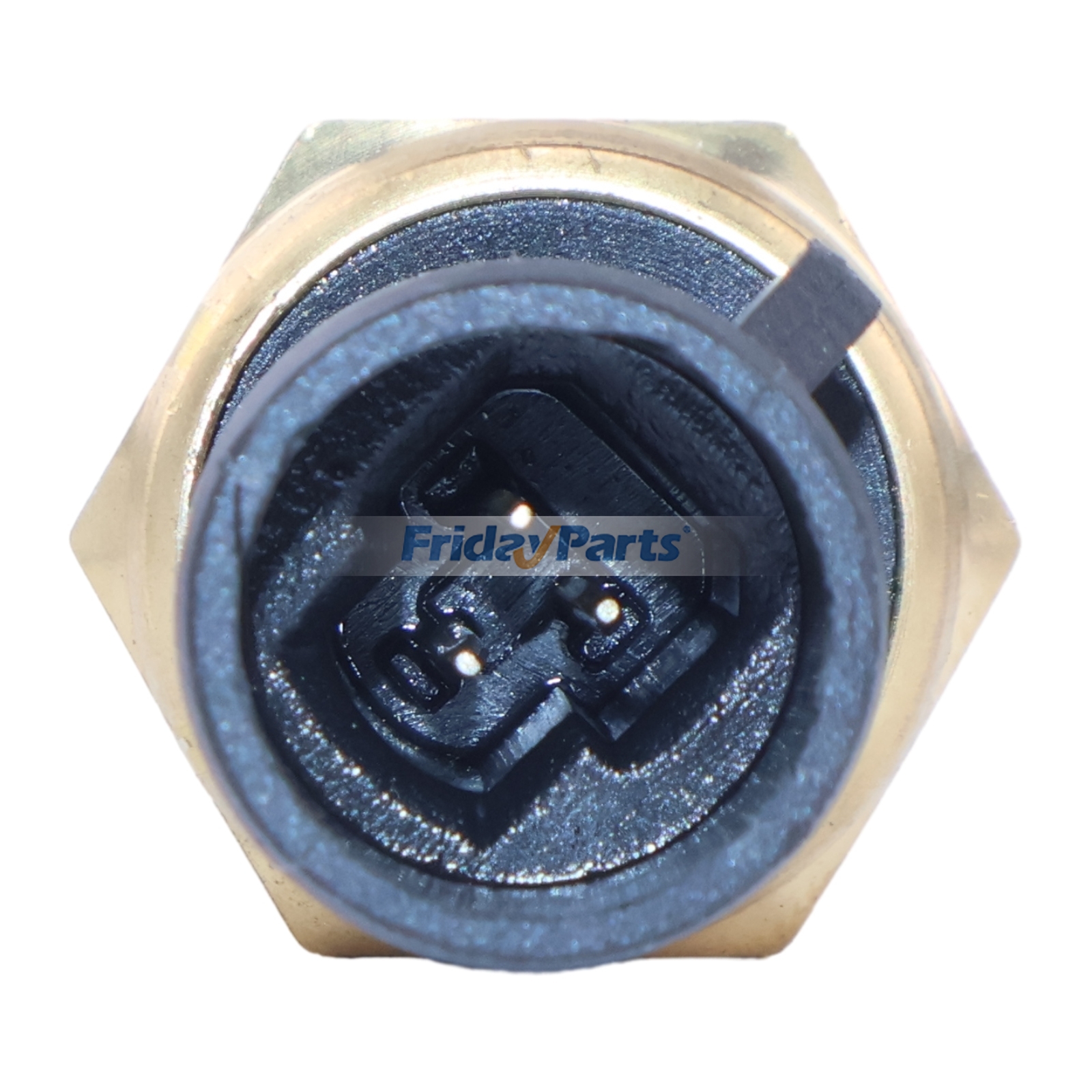 FridayParts Temperature Sensor