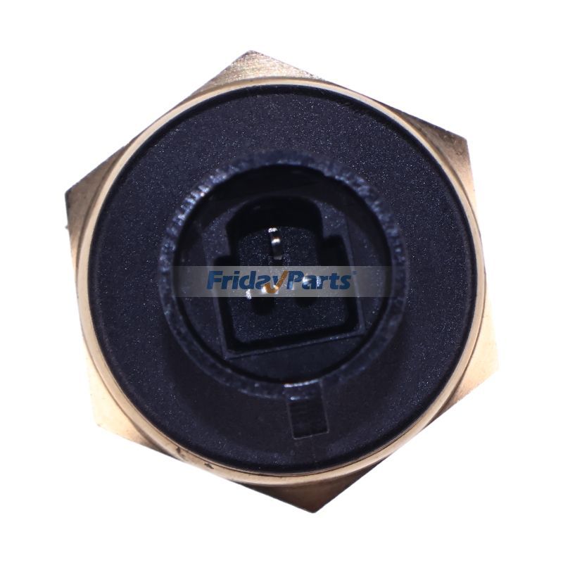 FridayParts Temperature Sensor