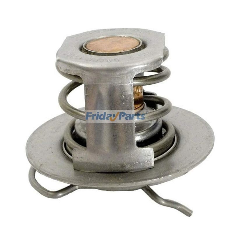 Thermoregler mit Federclip 38000-0007S für Pentair MasterTemp Max-E-Therm Heizung