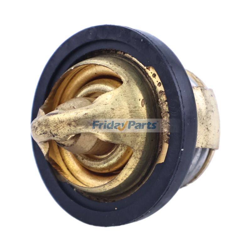 ThermostatFür CFMOTO