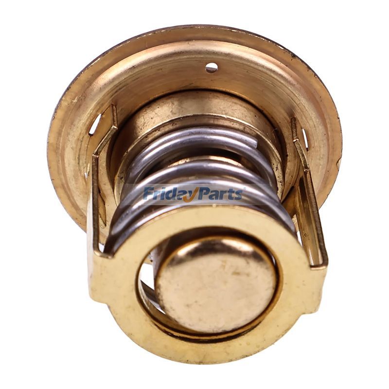 Thermostatfür Generator