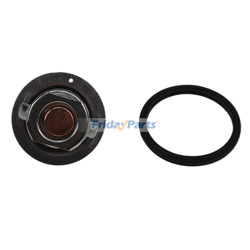 Thermostatfür Bagger