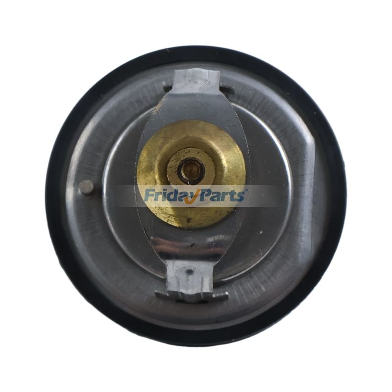 FridayParts Thermostat