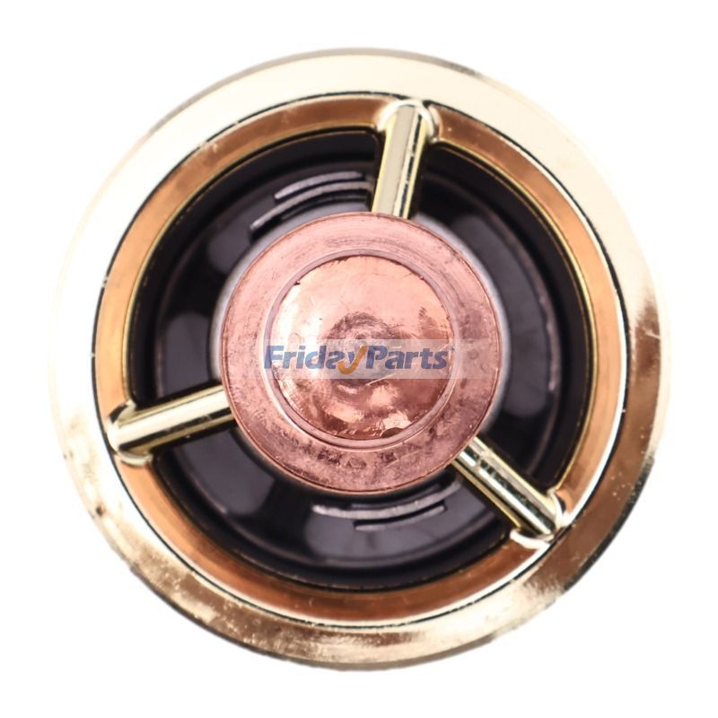 Thermostatbei FridayParts kaufen