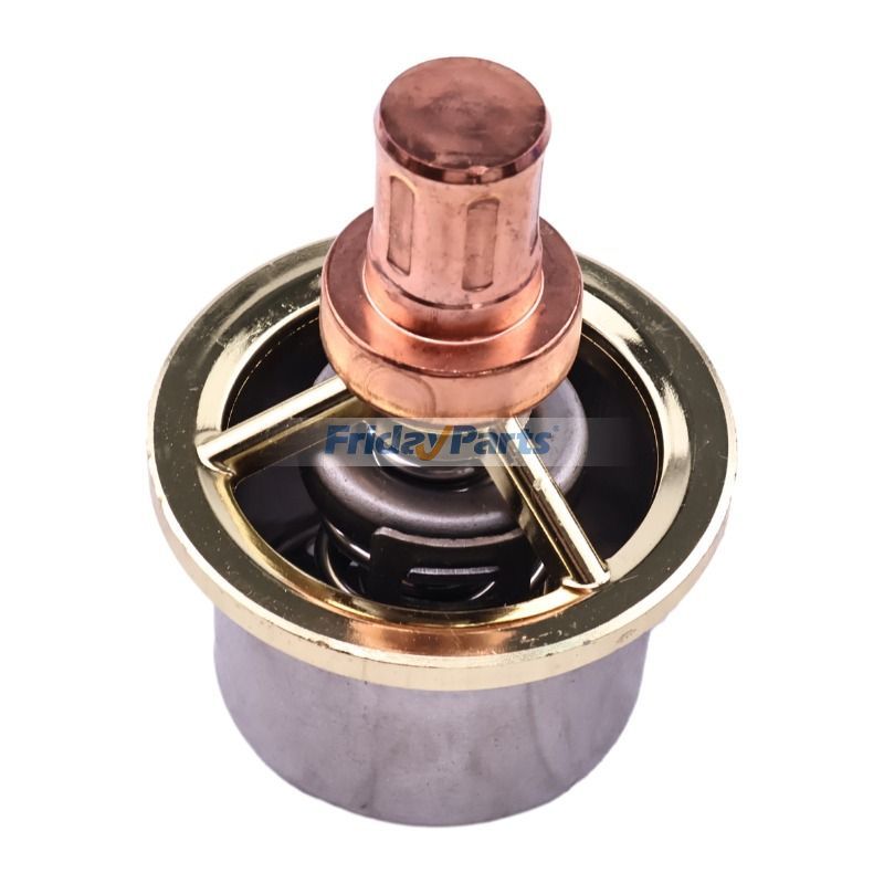 FridayParts Thermostat