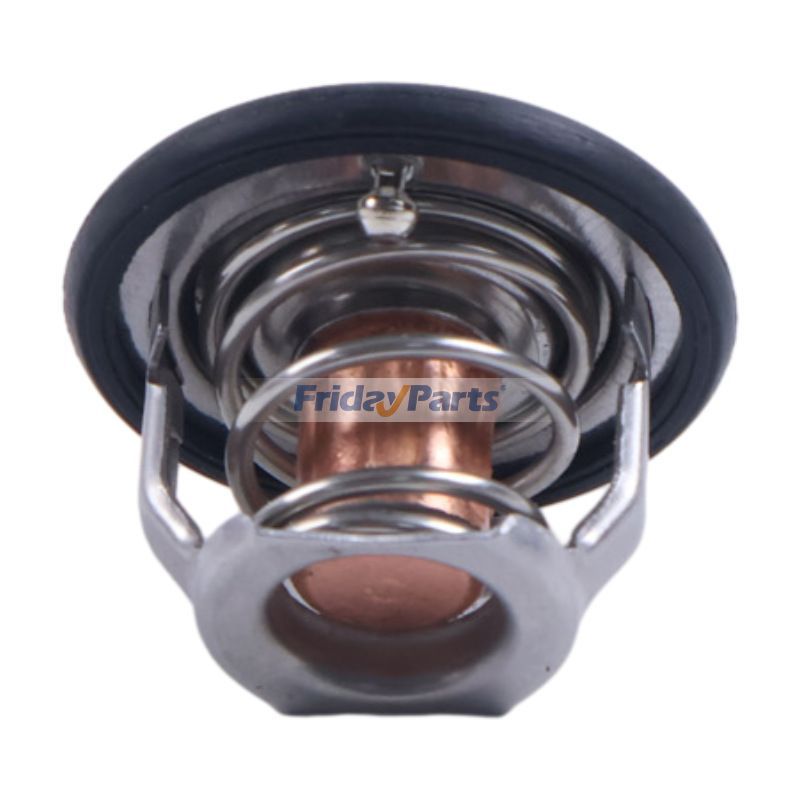 Thermostatfür Motor