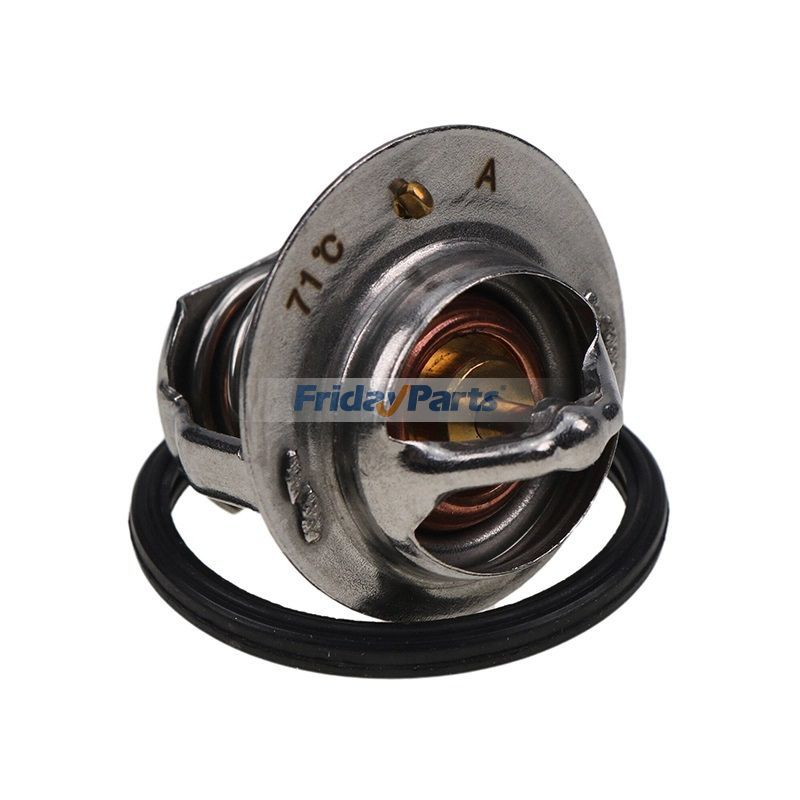 Thermostatfür Motor