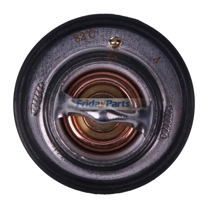 FridayParts Thermostat