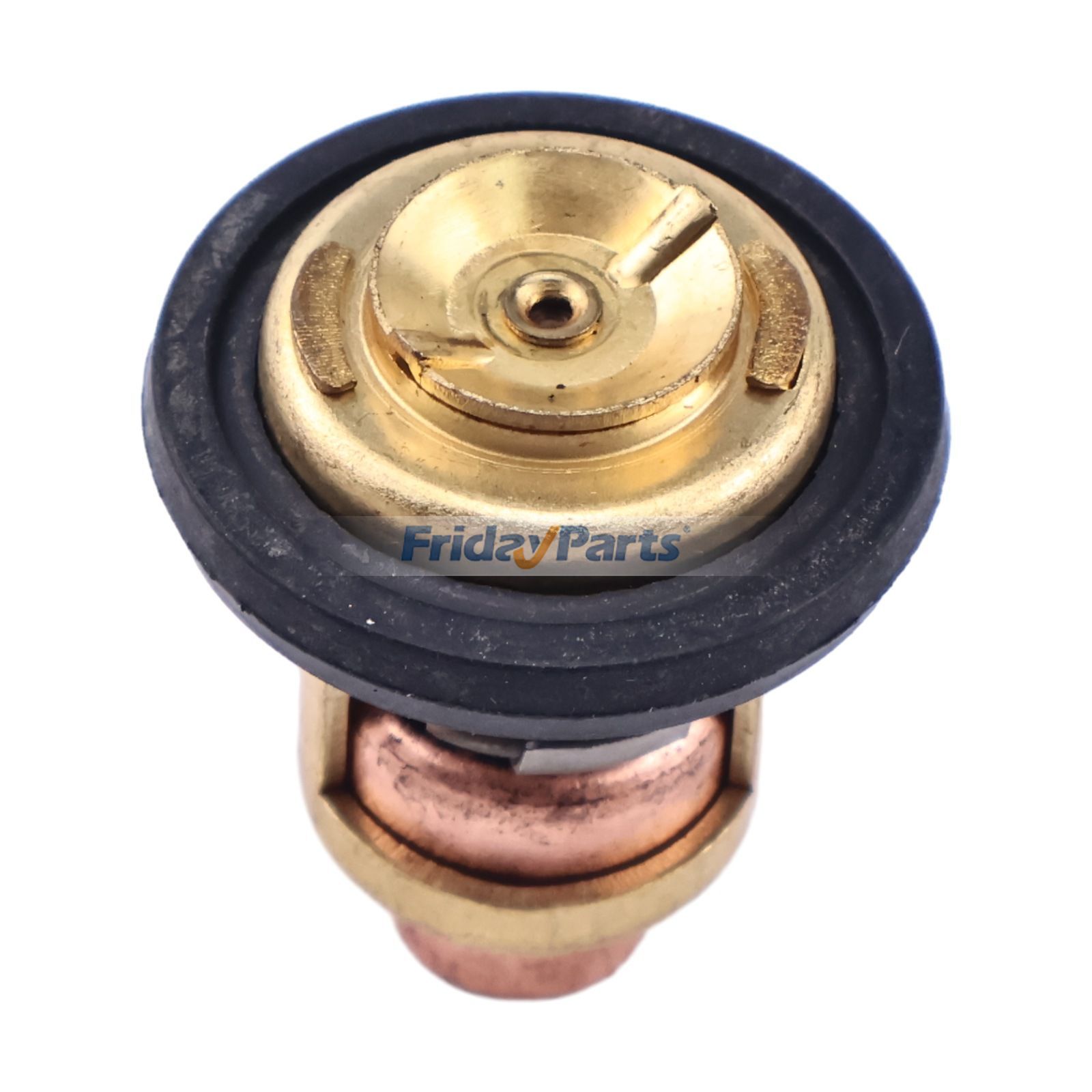 Thermostat BF75 BF90 BF115 BF135 BF150für Motor