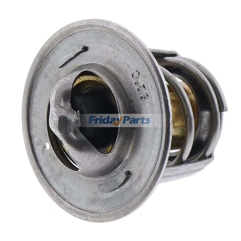 Thermostatbei FridayParts kaufen