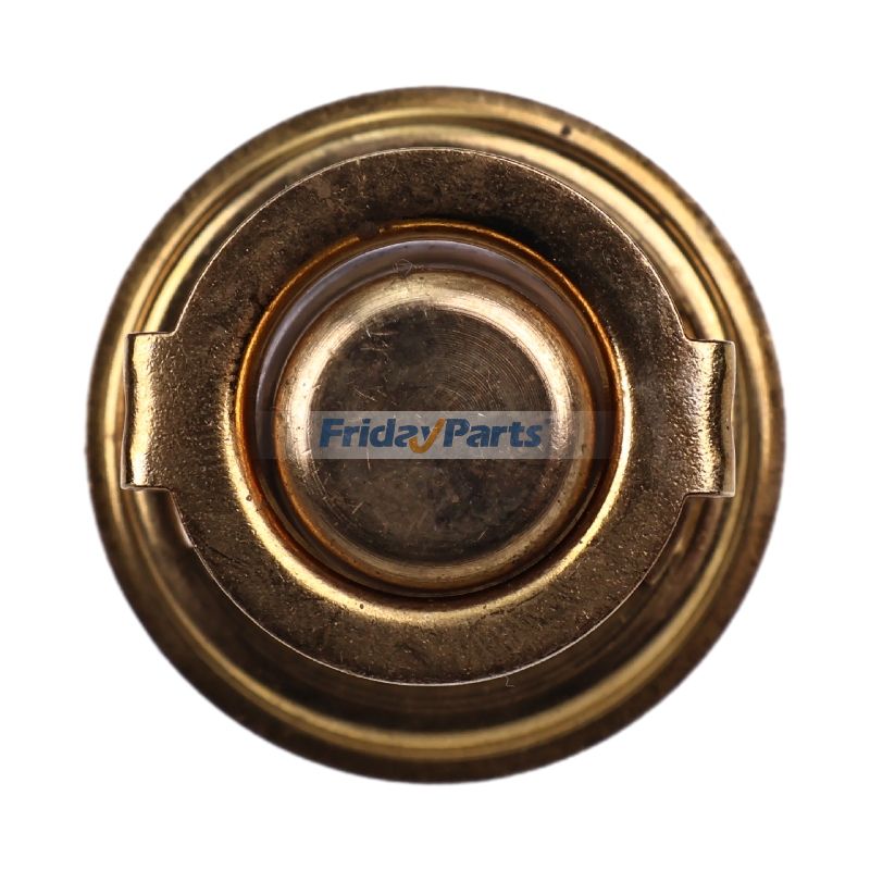 Termostato 25-15003-00 para motor Carrier CT491TV CT344TV CT2-29TV CT3-69TV CT4-73TV