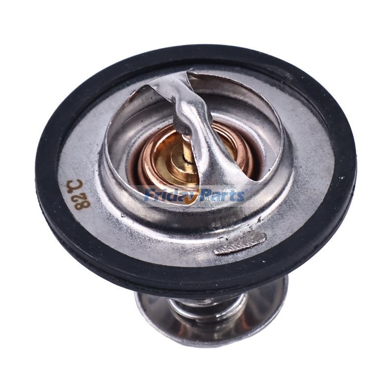 Thermostatfür Lader