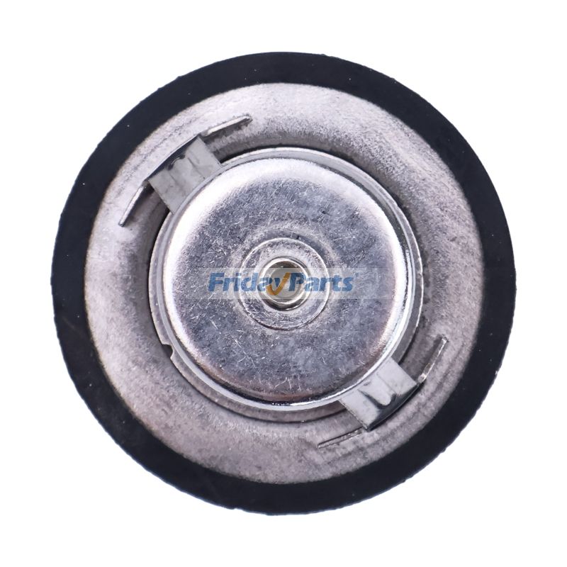 Thermostatbei FridayParts kaufen