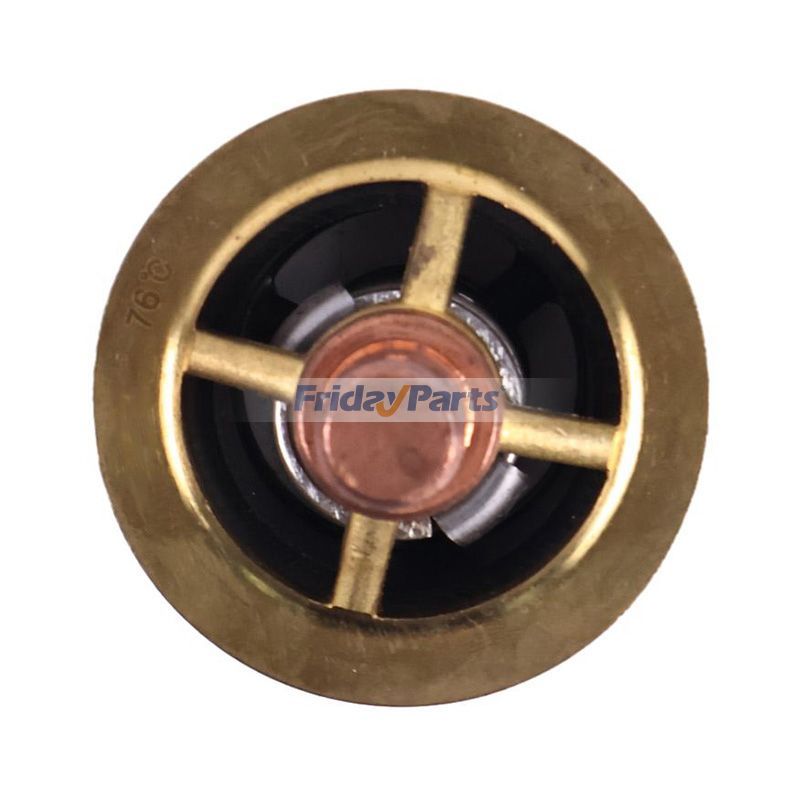 Thermostatfür Motor