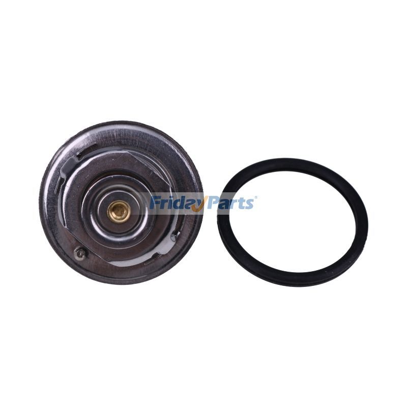 FridayParts Thermostat