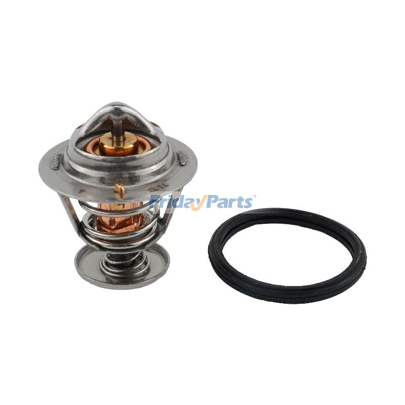 Thermostat for Engine