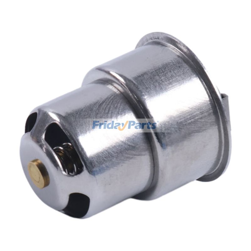 Thermostatbei FridayParts kaufen