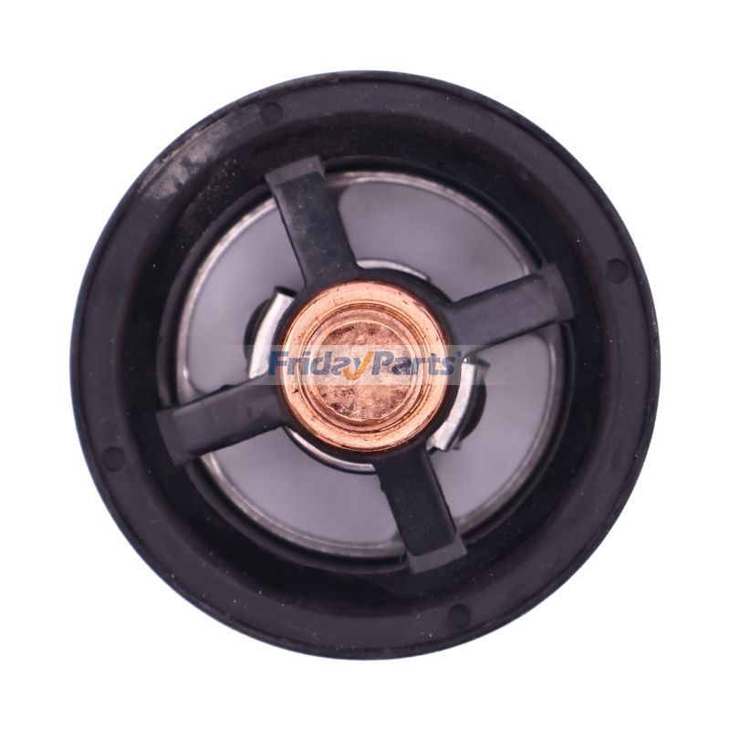 Thermostat F2CFA614AE010 F2CFE614FB004 in Stock in China