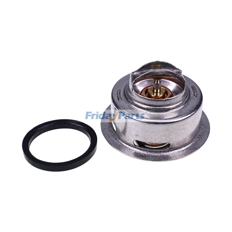 Thermostat Caterpillar CAT in Stock in China