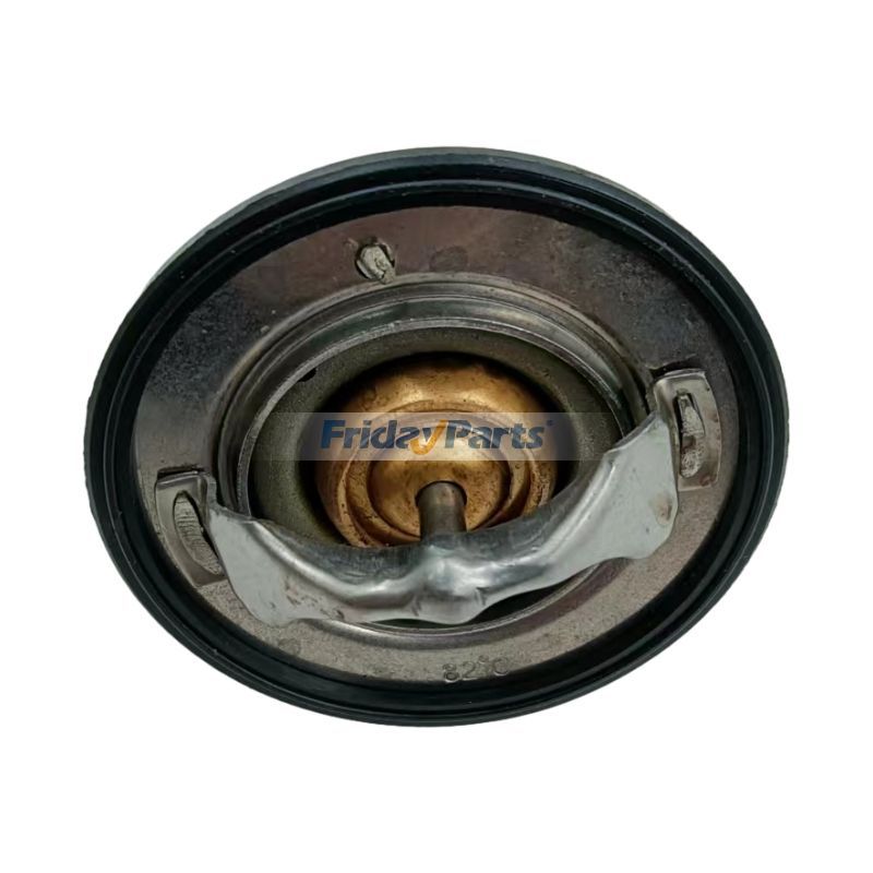 FridayParts Thermostat 