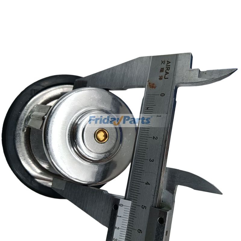 Thermostat for Engine