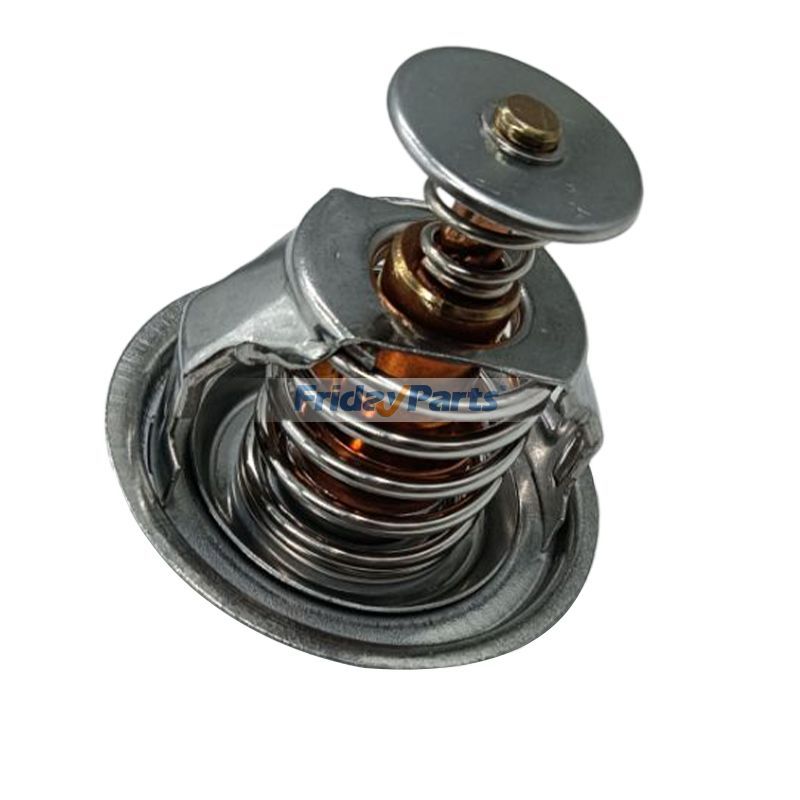 Thermostatbei FridayParts kaufen