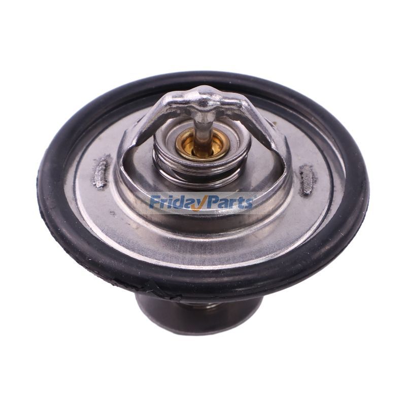 Thermostatfür Lader