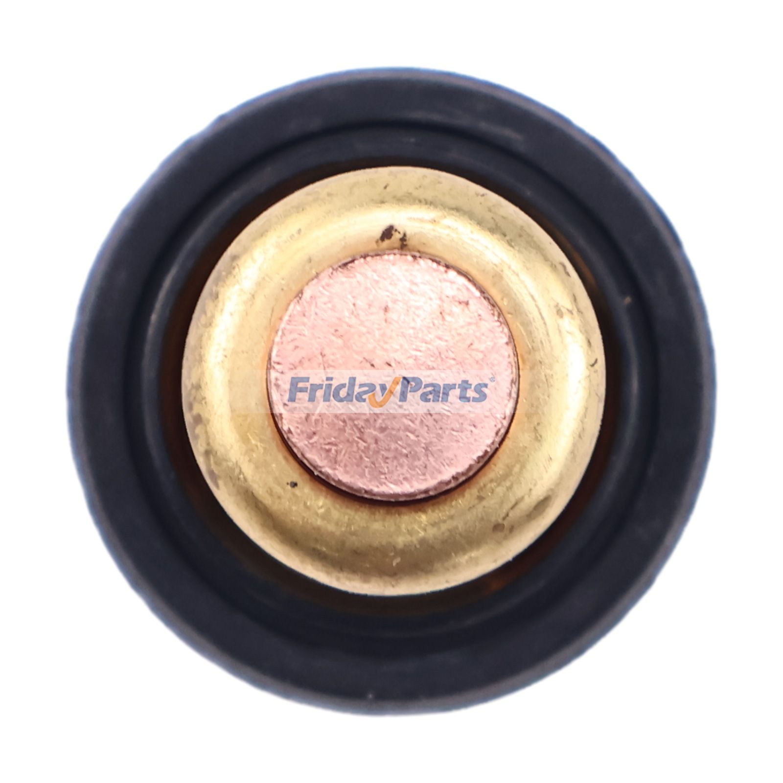 Thermostat Außenborder 115 150 200 225 250für Motor,MarineFür Yamaha