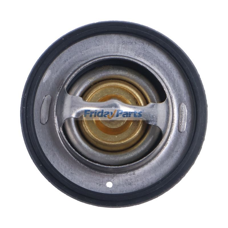  Thermostat For Polaris