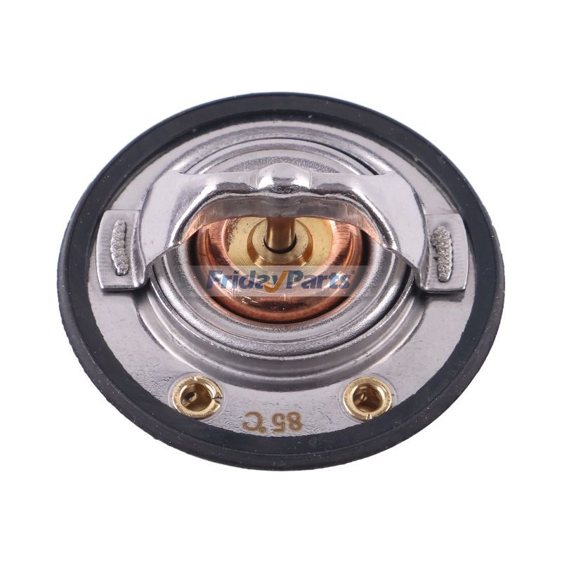 FridayParts Thermostat