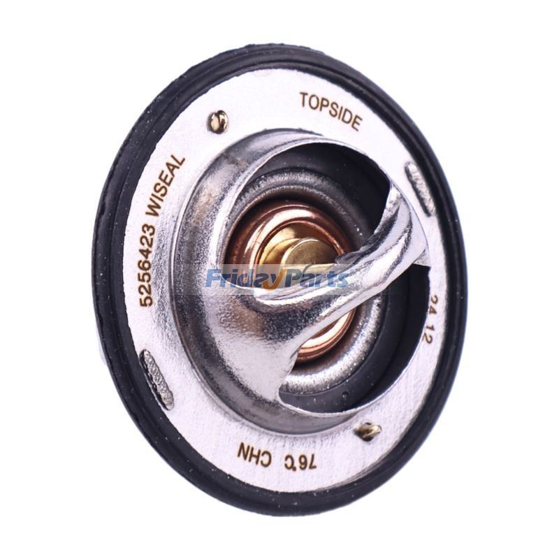 Thermostat D125C D150C D180C in Stock in China