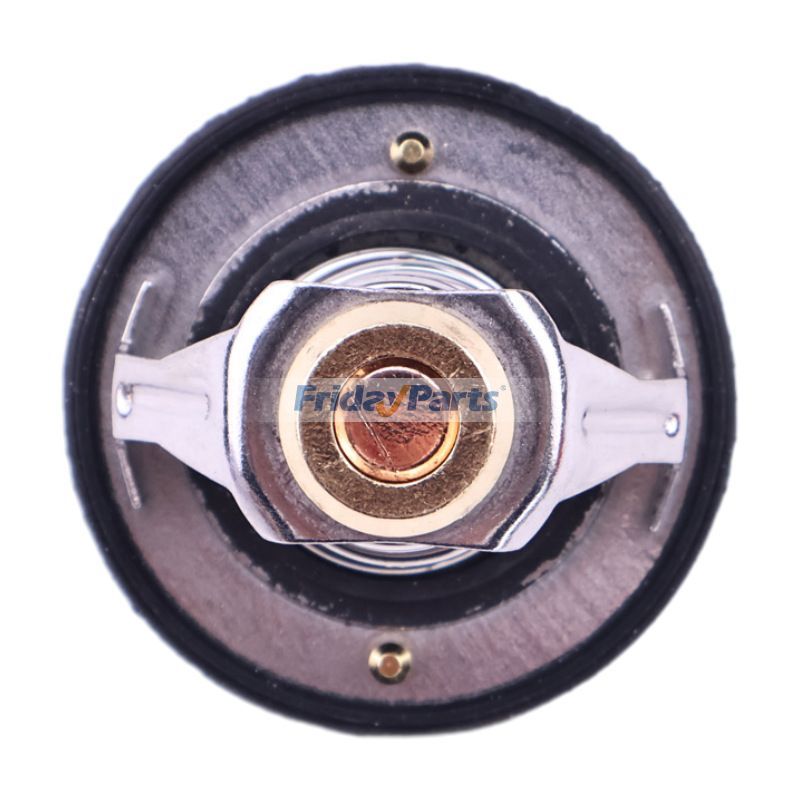 FridayParts Thermostat D125C D150C D180C