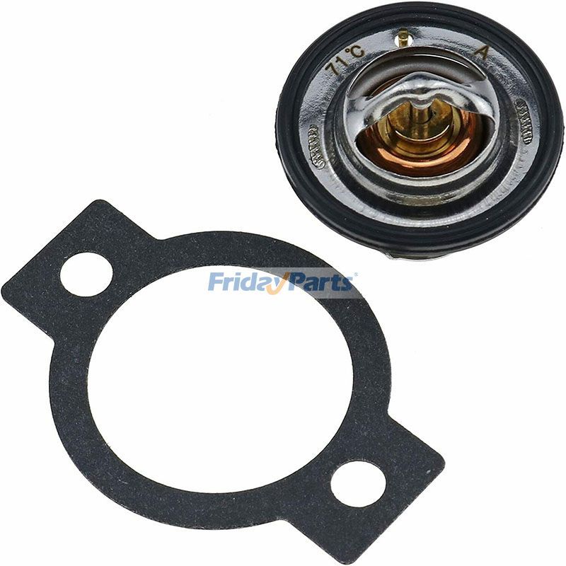 Thermostat With Gasket for Engine