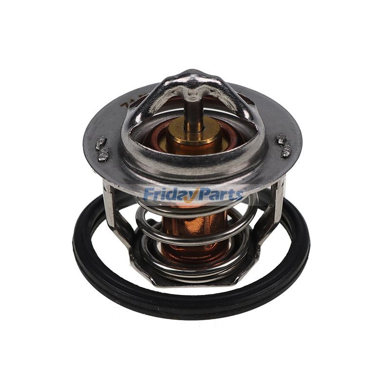 FridayParts Thermostat & Abdeckung