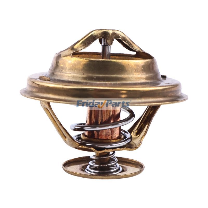 Thermostatfür Motor