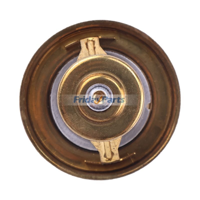 Thermostatfür Motor