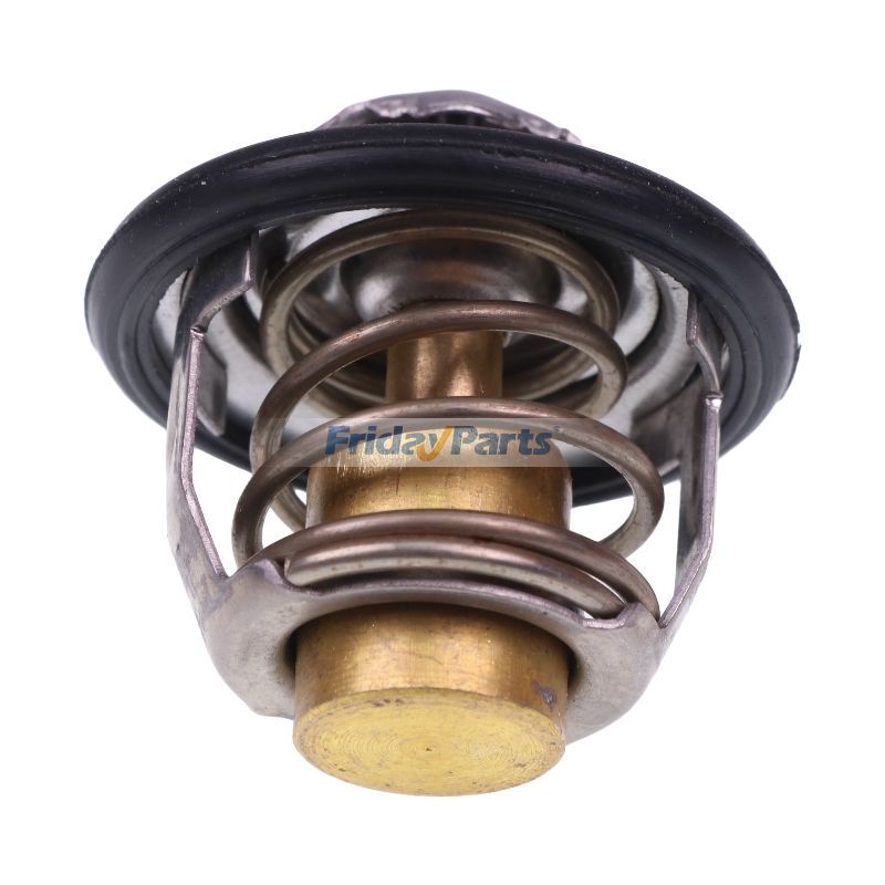 Thermostatfür Fahrzeug