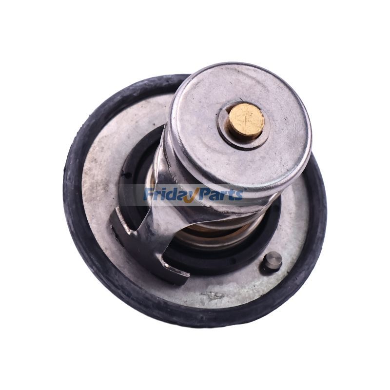 Thermostatbei FridayParts kaufen