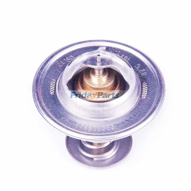 Thermostatfür Generator