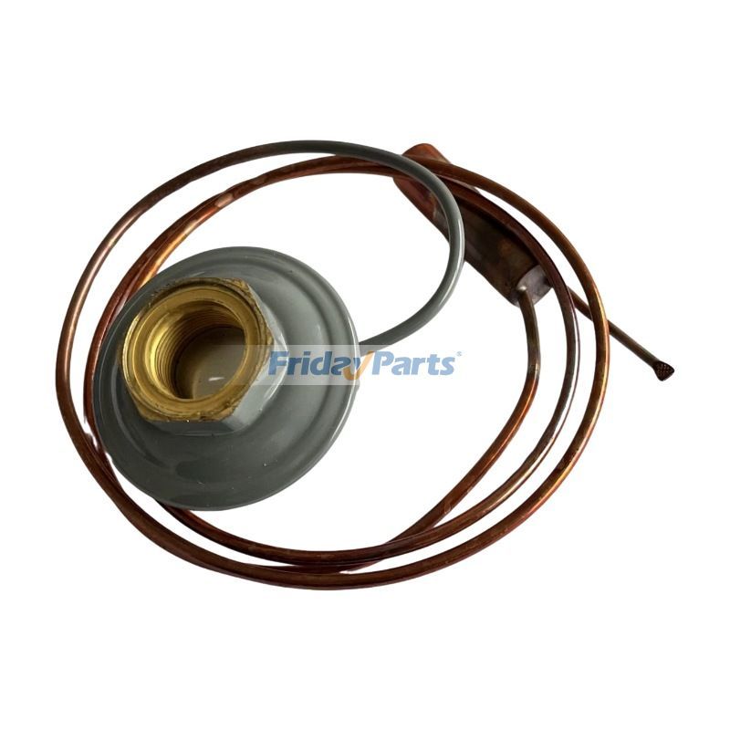 Válvula de expansión termostática 14-00212-21 para unidad de refrigeración Carrier 69NT40