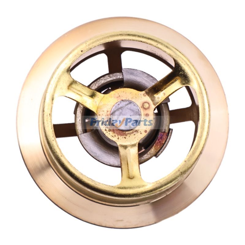 FridayParts Thermostatic Valve