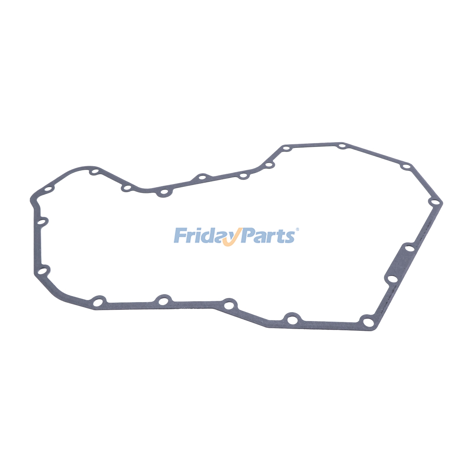 FridayParts Steuergehäusedichtung