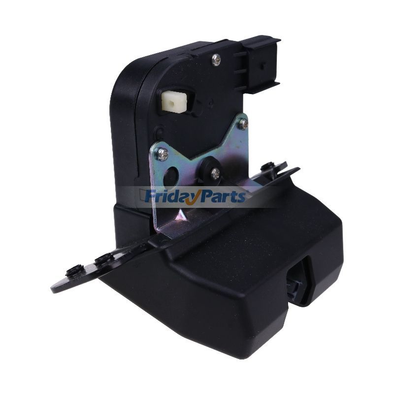 Trunk Tailgate Lock Latch for Vehicle