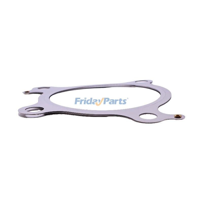 Turboladerdichtungfür Fahrzeug