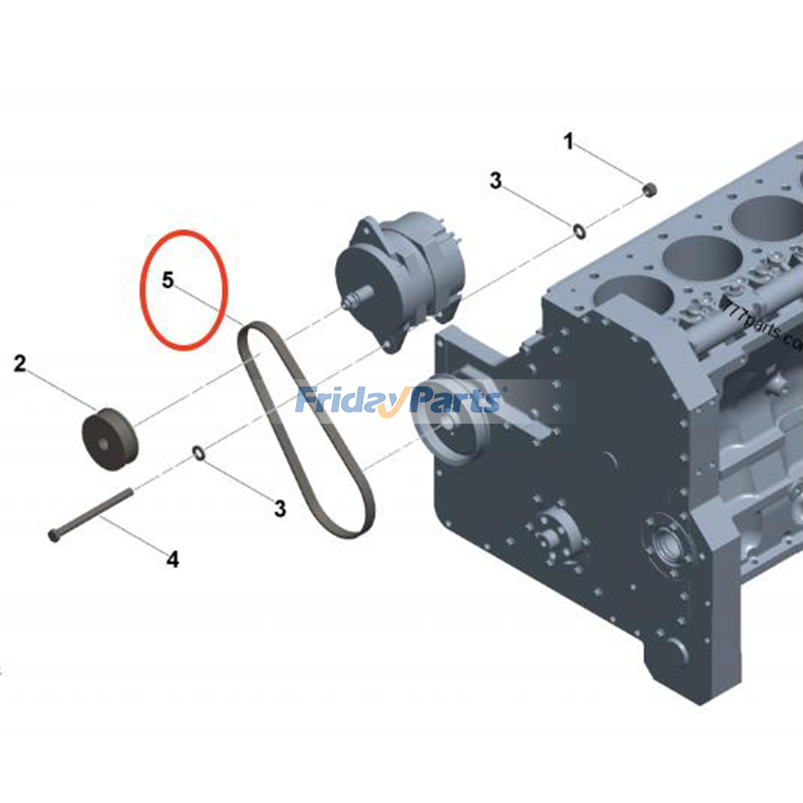 V Ribbed Belt for Engine