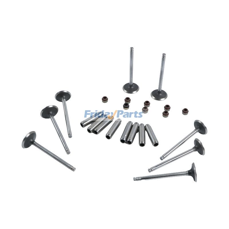 Kit de soupapes 751-40550 751-40530 751-10903 pour moteur Lister Petter LPW2pour
