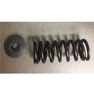 Cummins Ship Spring Valve Spring Kit 4376153 for Cummins Engine QSK60
