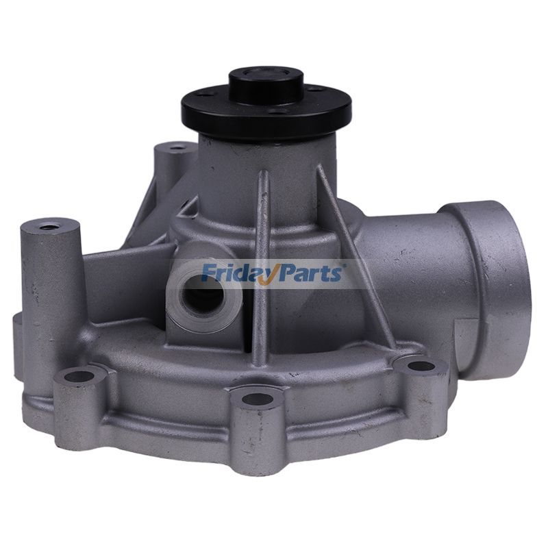Bomba de agua 02937604 para motor Deutz BFM1013 TCD2013L04 2V TCD2013L06 2V para Motor  FridayParts