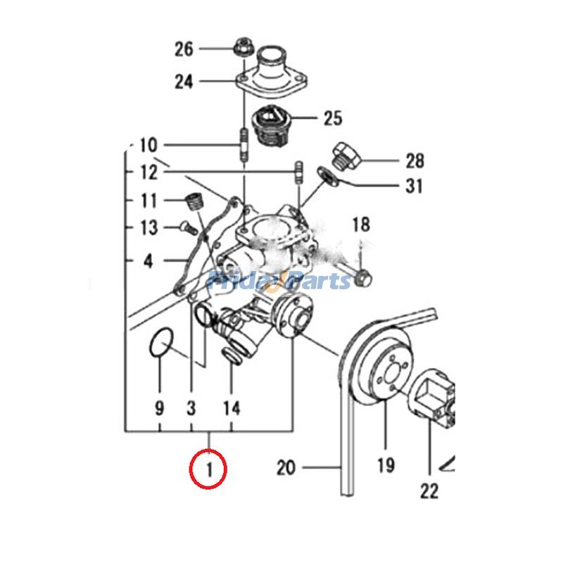 Water Pump for Engine