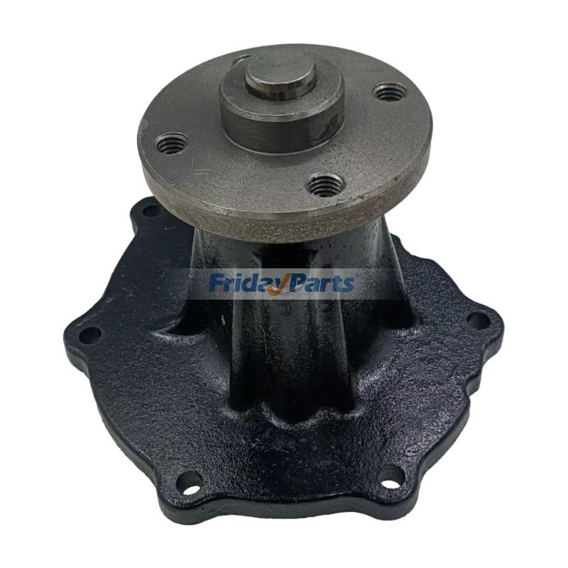 Engine,Forklift Water Pump